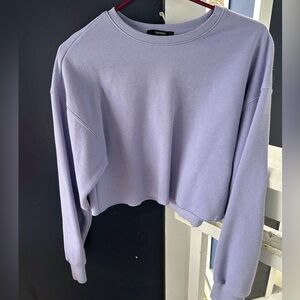 F21 Long Sleeve Cropped Sweater